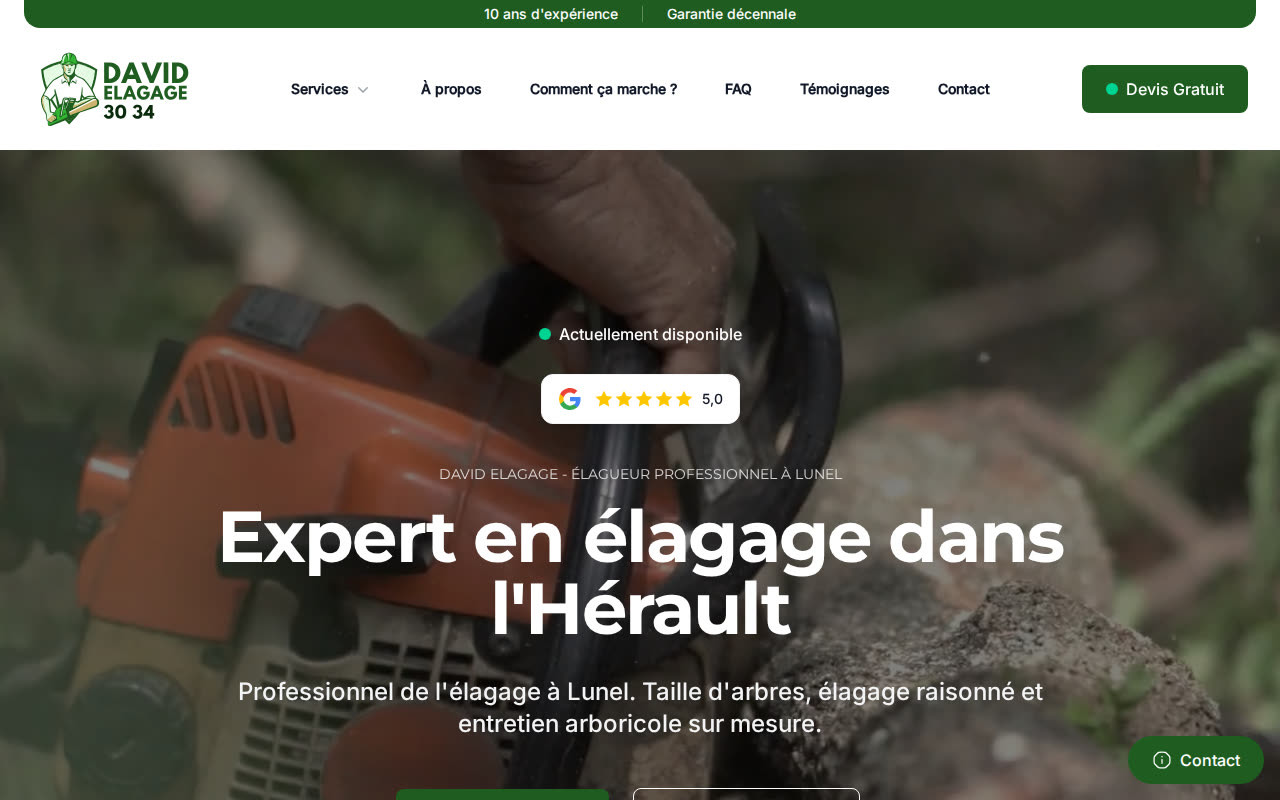 Page d'accueil du site de David Élagage